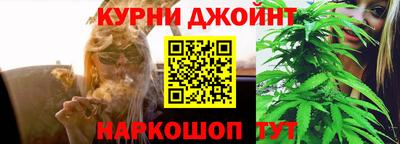 apvp Заводоуковск