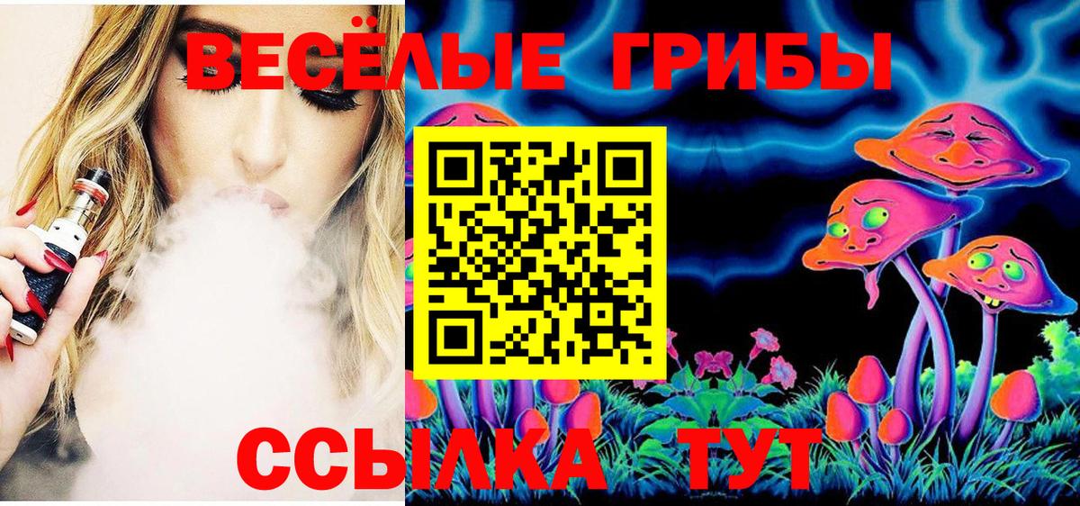 Глазов  Галлюциногенные грибы прущие грибы  Вход с VPN 